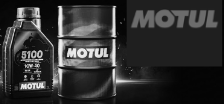 motul motul
