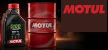 motul motul
